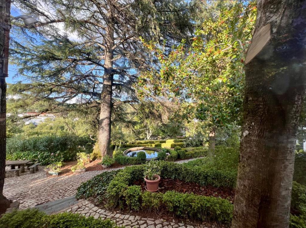 Casa Fundeira - Quinta Dos Esconhais Castanheira de Pera Buitenkant foto